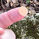 MSC10224 = COPPER SHAPE - ROUND 1/2'' dia (24ga) (Pkg of 18)