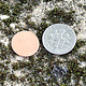 MSC10224 = COPPER SHAPE - ROUND 1/2'' dia (24ga) (Pkg of 18)