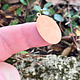MSC20724 = COPPER SHAPE - OVAL with RING 24ga 1'' x 5/8'' (Pkg of 6)