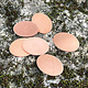MSC20824 = COPPER SHAPE - OVAL 24ga 18 x 13mm (Pkg of 6)