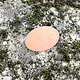MSC20824 = COPPER SHAPE - OVAL 24ga 18 x 13mm (Pkg of 6)