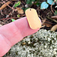 MSC37424 = COPPER SHAPE - DOG TAG with HOLE 24ga 3/4'' x 1/2'' (Pkg of 6)