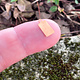 MSC37624 = COPPER SHAPE - RECTANGLE with RING 24ga 6x10mm  (Pkg of 6)