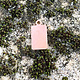 MSC37624 = COPPER SHAPE - RECTANGLE with RING 24ga 6x10mm  (Pkg of 6)