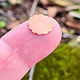 MSC71324 = Copper Shape - Flower 12mm (Pkg of 6)