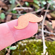 MSC59524 = COPPER SHAPE - LARGE MUSTACHE 24ga (Pkg of 6)