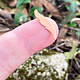 MSC57024 = COPPER SHAPE - FEATHER 24ga 1'' (Pkg of 6)