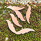 MSC57024 = COPPER SHAPE - FEATHER 24ga 1'' (Pkg of 6)