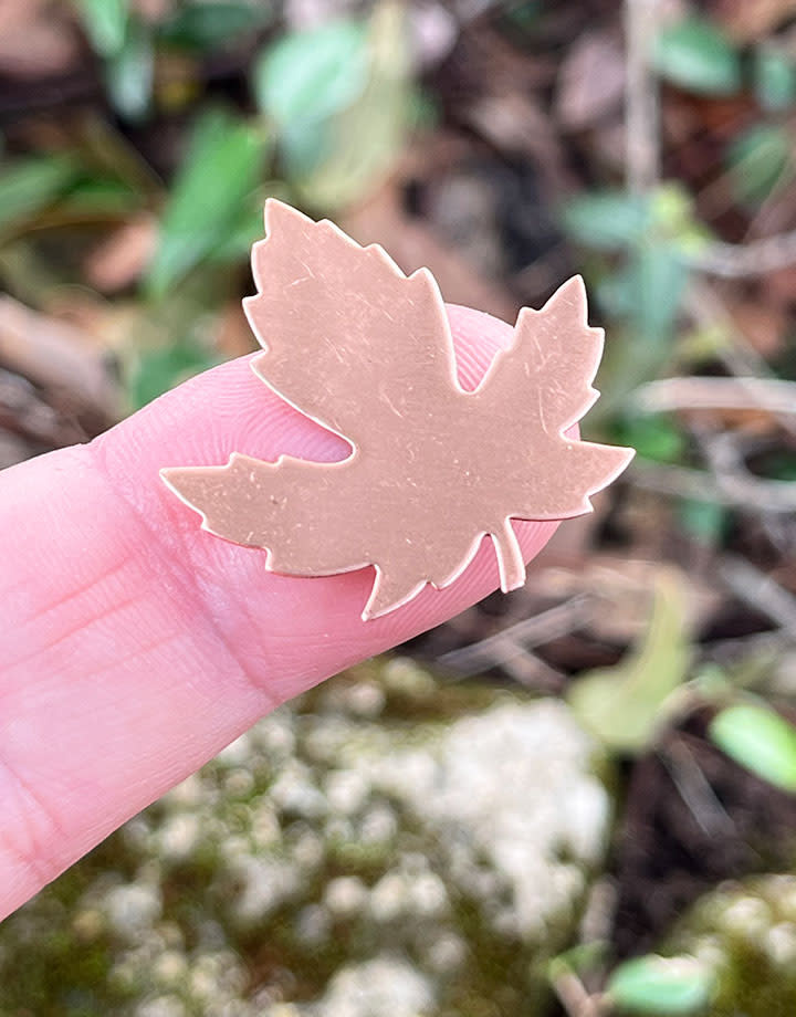 MSC55224 = COPPER SHAPE - LEAF MAPLE  24ga 29mm x 28mm (Pkg of 6)