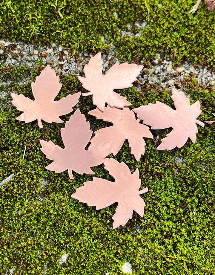 MSC55224 = COPPER SHAPE - LEAF MAPLE  24ga 29mm x 28mm (Pkg of 6)
