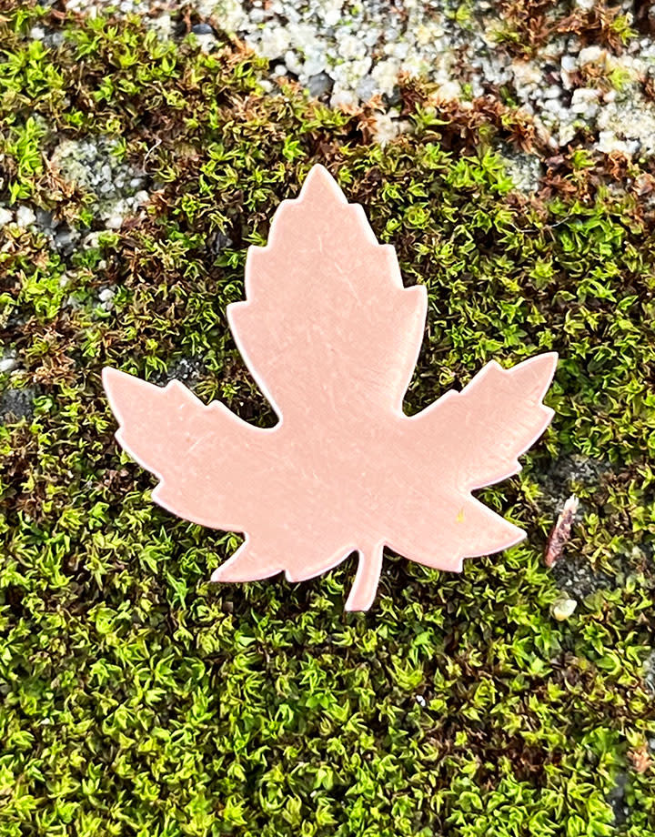 MSC55224 = COPPER SHAPE - LEAF MAPLE  24ga 29mm x 28mm (Pkg of 6)