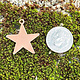 MSC53024 = COPPER SHAPE - STAR with RING  24ga 7/8'' (Pkg of 6)