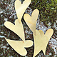 MSBR42624 = BRASS SHAPE - HEART 1-7/16'' x 1''   24ga (Pkg of 6)