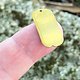 MSBR37124 = BRASS SHAPE - DOG TAG with HOLE 1''  x 1/2''  24ga (Pkg of 6)