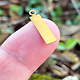 MSBR36624 = BRASS SHAPE - RECTANGLE with RINGS 11/16'' x 3/16''  24ga (Pkg of 6)