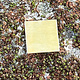 MSBR30024 = Brass Shape - Square 1/2"  (24ga) (Pkg of 6)