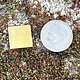 MSBR30024 = Brass Shape - Square 1/2"  (24ga) (Pkg of 6)