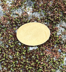 MSBR20824 = BRASS SHAPE - OVAL 18mm x 13mm  24ga (Pkg of 6)