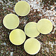 MSBR10424 = Brass Shape Round 3/4'' dia (24ga) (Pkg of 6)