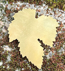 MSBR55324 = BRASS SHAPE - LEAF 52 x 43mm  24ga (Pkg of 6)