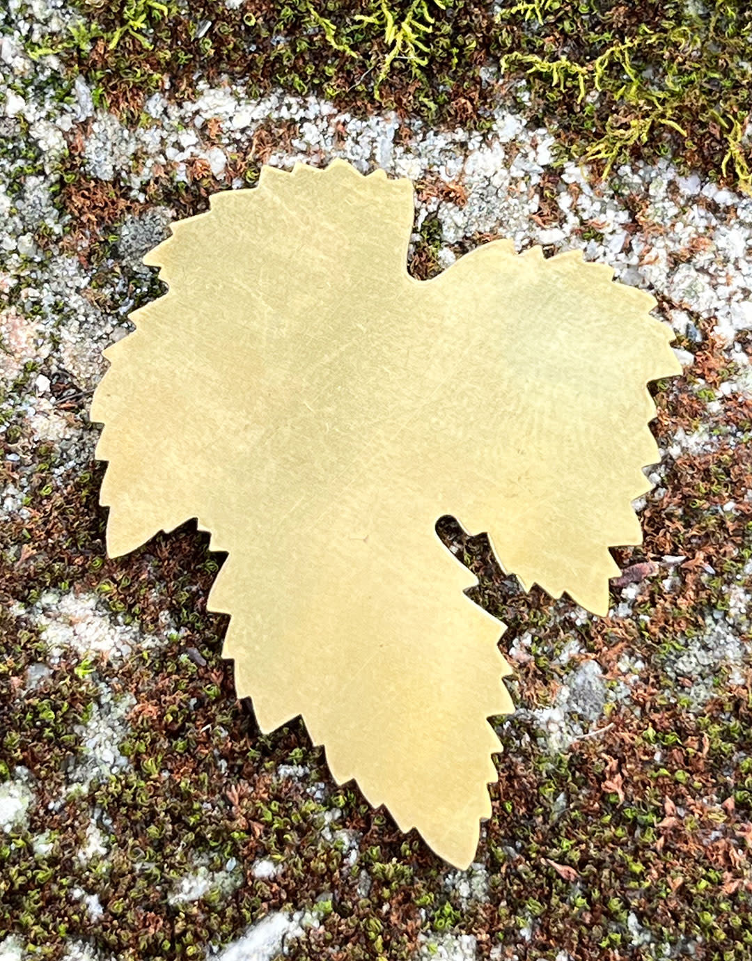 MSBR55324 = BRASS SHAPE - LEAF 52 x 43mm  24ga (Pkg of 6)