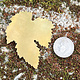 MSBR55324 = BRASS SHAPE - LEAF 52 x 43mm  24ga (Pkg of 6)