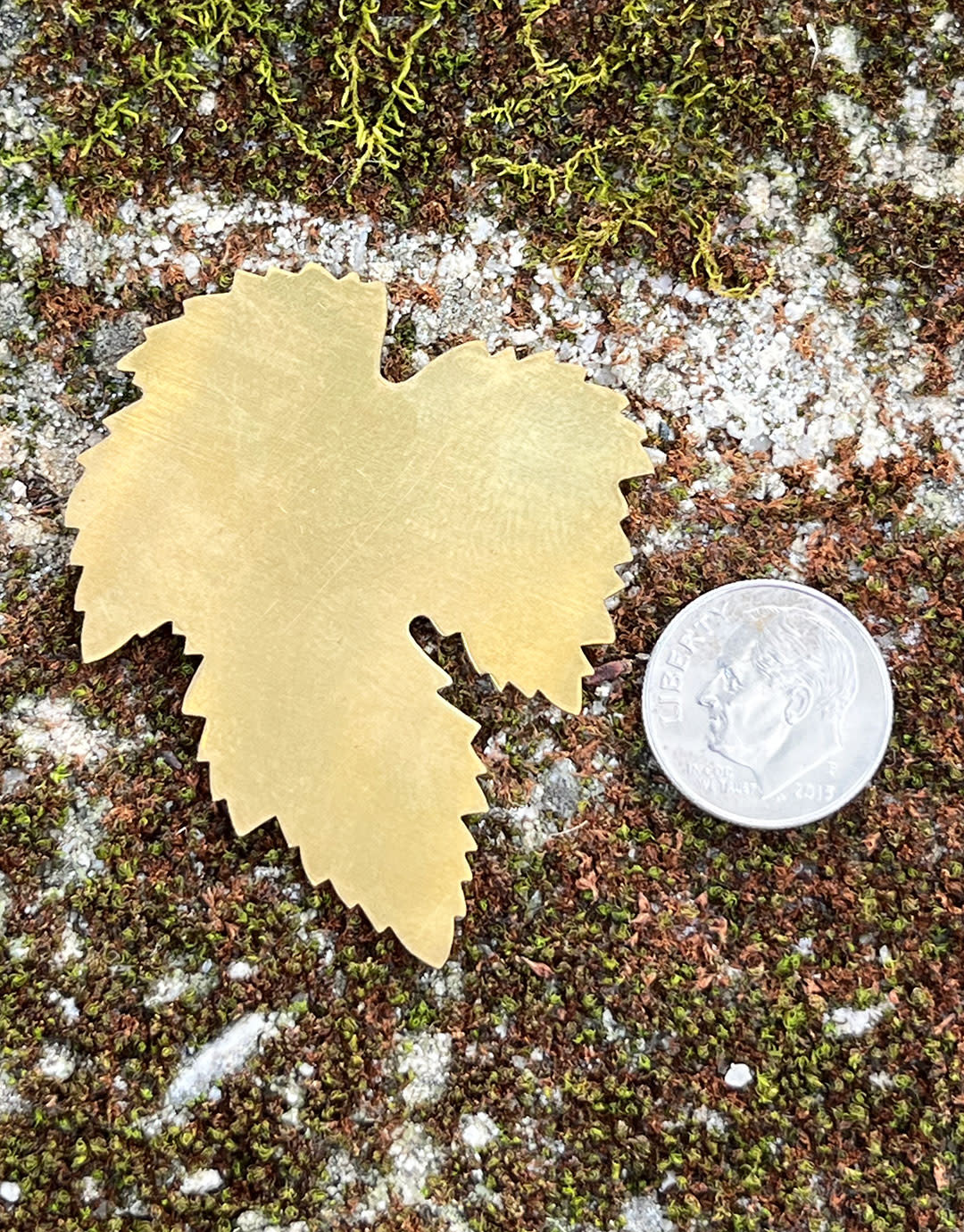 MSBR55324 = BRASS SHAPE - LEAF 52 x 43mm  24ga (Pkg of 6)