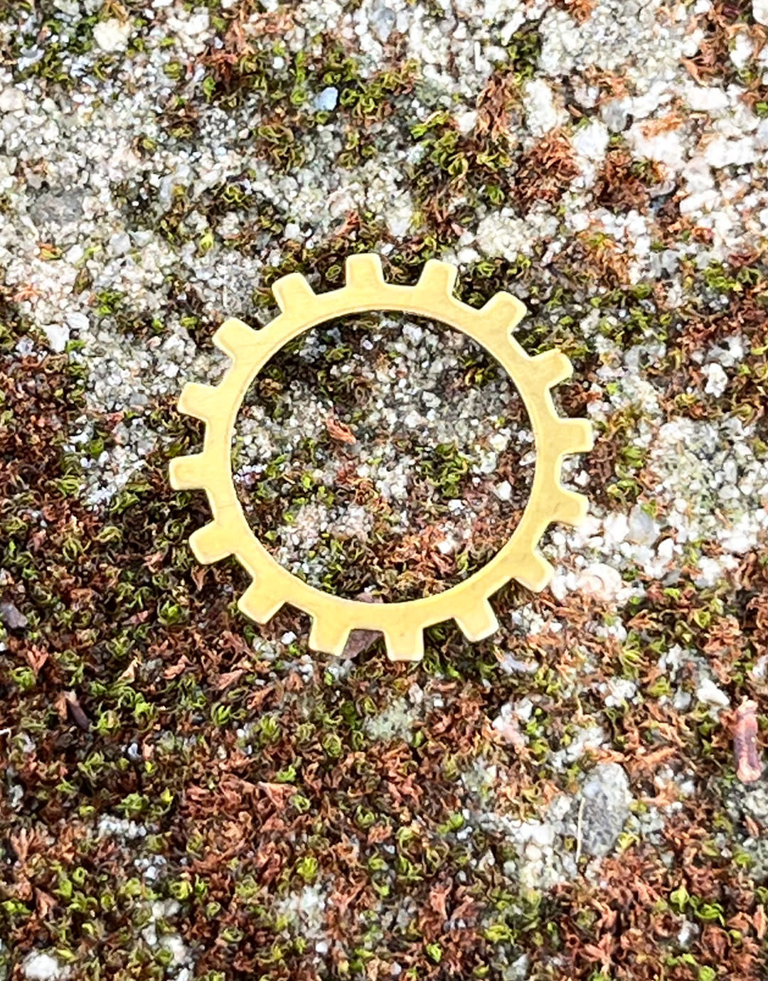 MSBR56124 = BRASS SHAPE - GEAR OPEN  3/4''  24ga (Pkg of 6)