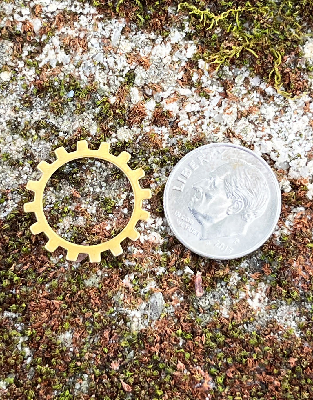 MSBR56124 = BRASS SHAPE - GEAR OPEN  3/4''  24ga (Pkg of 6)