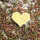 MSBR70224 = Brass Shape - Heart 11 x 13mm (Pkg of 10)