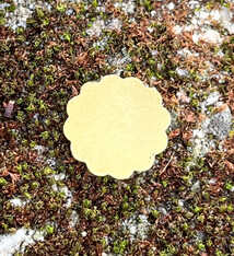 MSBR71324 = Brass Shape - Flower 12mm (Pkg of 6)