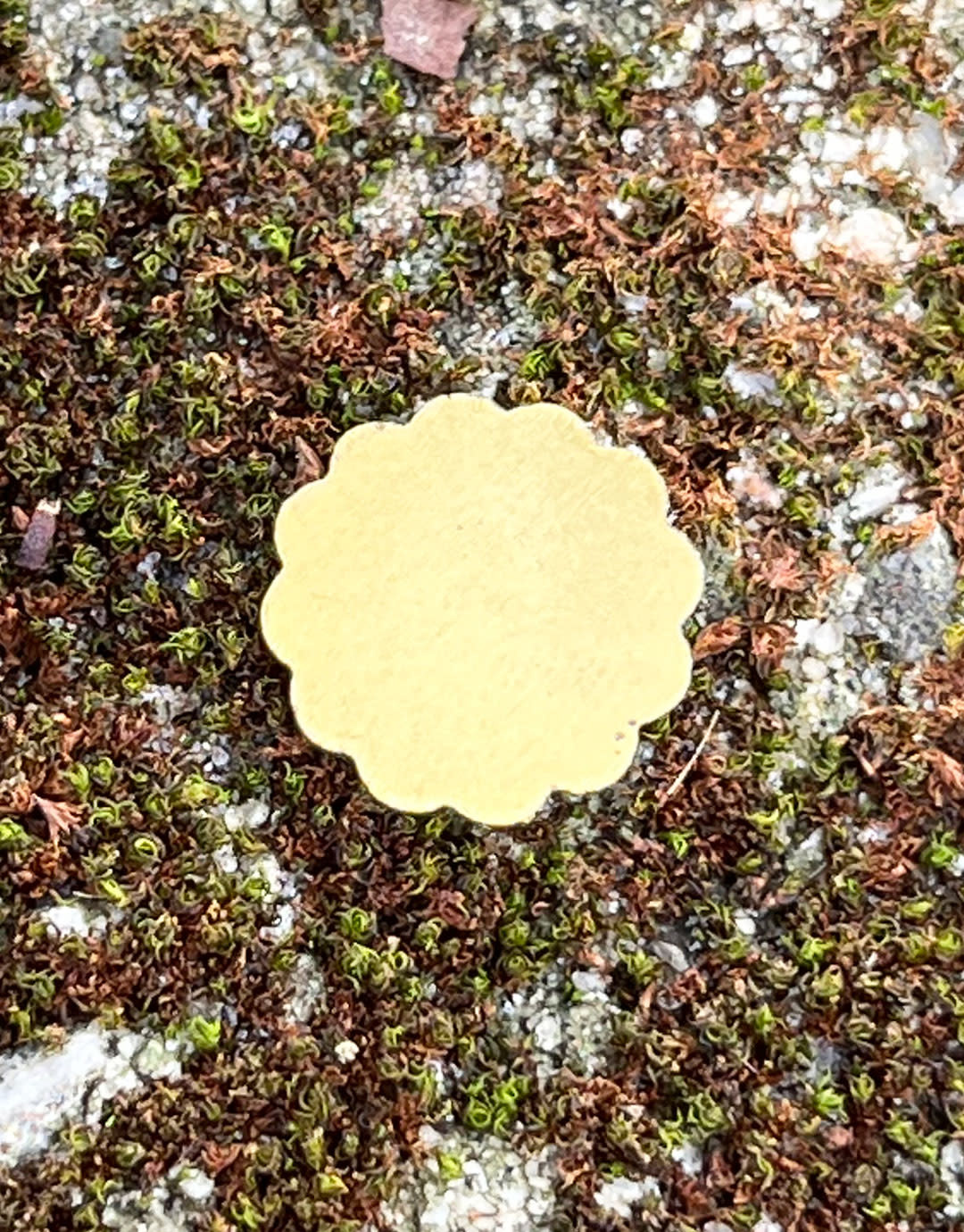 MSBR71324 = Brass Shape - Flower 12mm (Pkg of 6)
