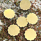 MSBR71324 = Brass Shape - Flower 12mm (Pkg of 6)