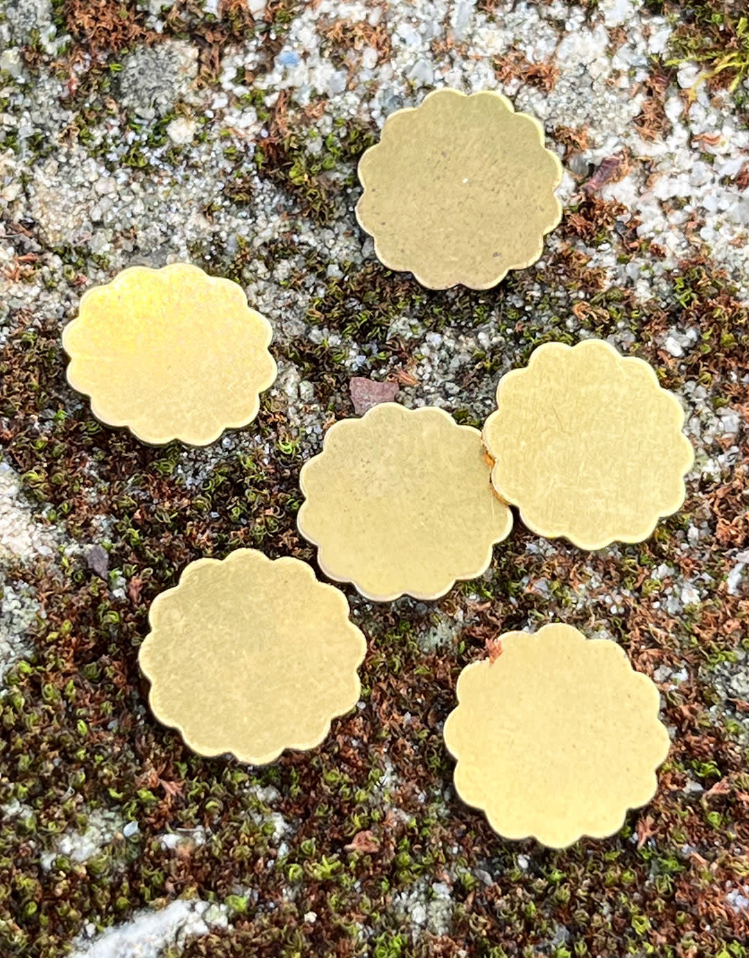MSBR71324 = Brass Shape - Flower 12mm (Pkg of 6)