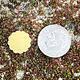MSBR71324 = Brass Shape - Flower 12mm (Pkg of 6)