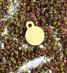 MSBR72024 = Brass Shape - Circle with Ring 6 x 7.5mm (Pkg of 6)