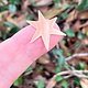 MSC53124 = COPPER SHAPE - STAR 24ga 1-1/8'' (Pkg of 6)