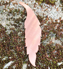 MSC57124 = COPPER SHAPE - FEATHER  24ga 2-5/16''  (Pkg of 6)