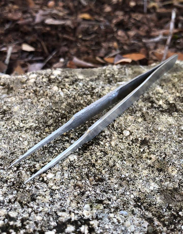 57.0755 = Tweezer #5 Stainless Steel  4-3/4''