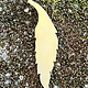 MSBR57124 = BRASS SHAPE - LEAF 2-5/16''  24ga (Pkg of 6)