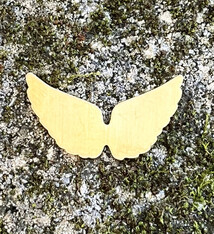 MSBR59324 = BRASS SHAPE - ANGEL WINGS  24ga (Pkg of 6)