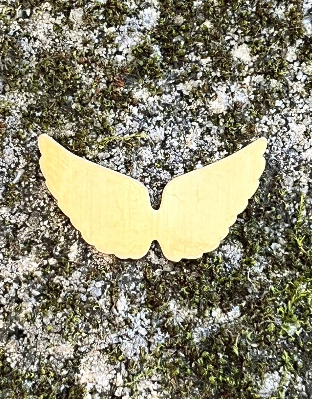 MSBR59324 = BRASS SHAPE - ANGEL WINGS  24ga (Pkg of 6)