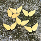 MSBR59324 = BRASS SHAPE - ANGEL WINGS  24ga (Pkg of 6)