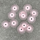 Dedeco ST9204 = Dedeco Radial Discs 5/8'' 600grit (Pumice ) (Pkg of 12)