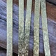 BSP345 = Patterned Brass Strips 6" x 1/2"  24ga (Pkg of 5)