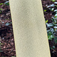 BSP206 "TV Static" Patterned Brass Sheet 2-1/2" Wide