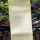 BSP209 "Small and Large Rain Drop" Patterned Brass Sheet 2-1/2" Wide
