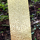 BSP211 "Triangle" Patterned Brass Sheet 2-1/2" Wide