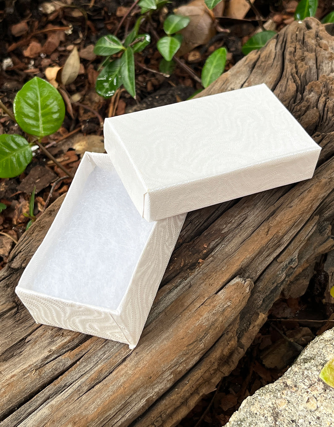 DBX2821W = BOXES - COTTON FILLED WHITE  2-5/8'' x 1-1/2'' x 1''  CASE 100