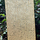 BSP240 "Mega Fingerprint" Patterned Brass Sheet 2-1/2" Wide